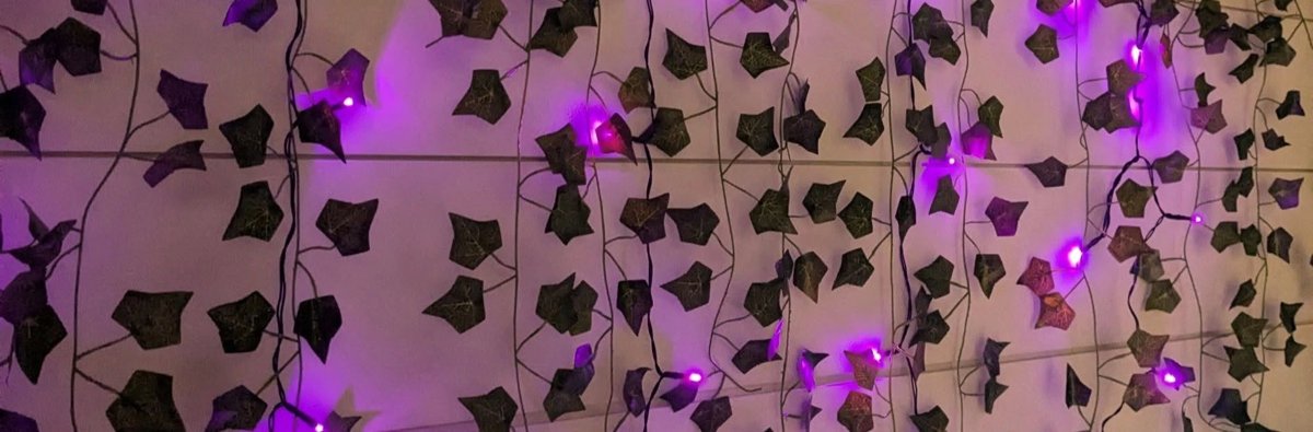 Wall of ivy with soft purple lights